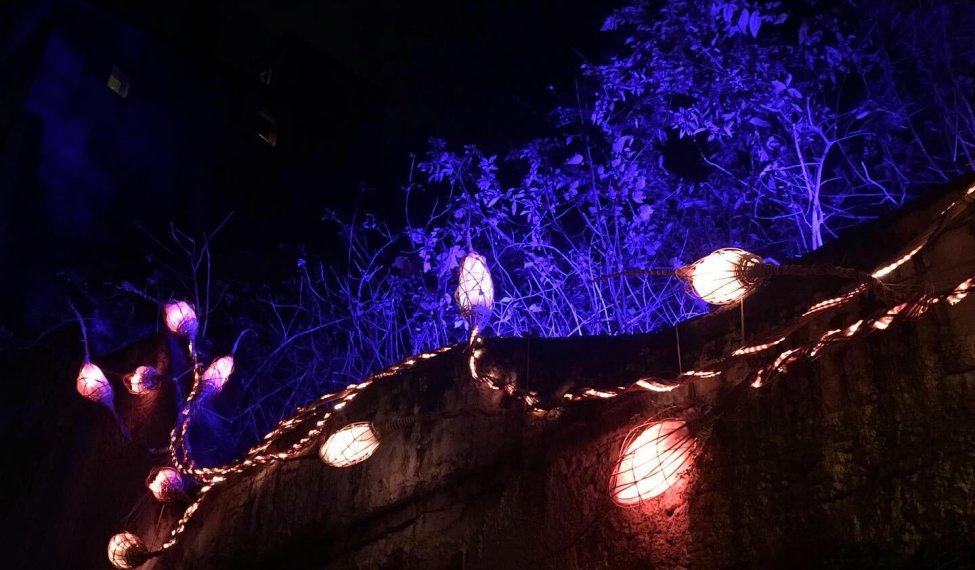 Fête des Lumières Lyon