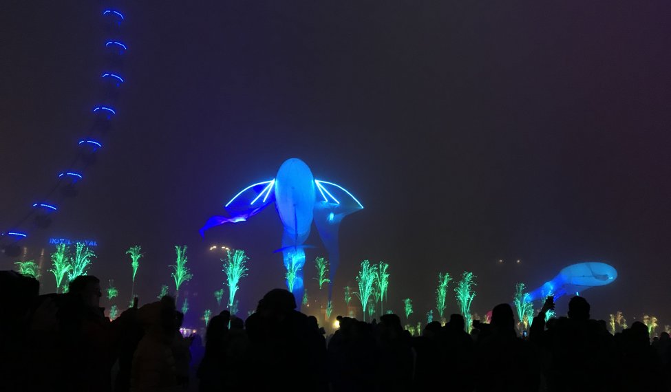 Poisson volant  Place Bellecour